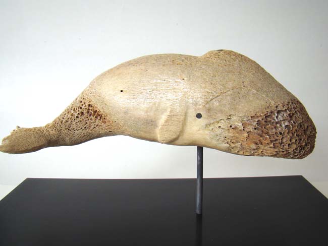 A Charming 19th century Sperm Whale carved from whalebone